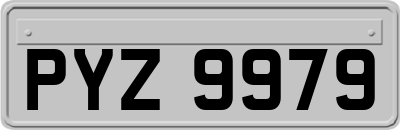 PYZ9979