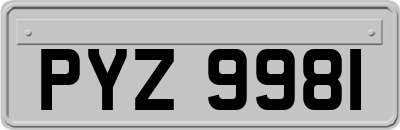 PYZ9981