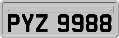 PYZ9988
