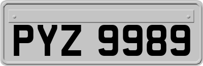 PYZ9989