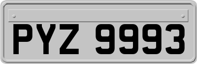 PYZ9993