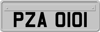 PZA0101