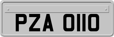 PZA0110