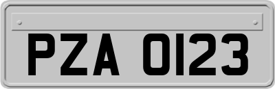 PZA0123