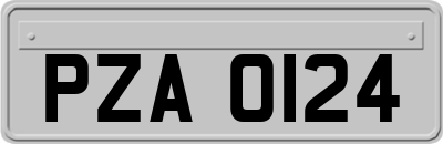 PZA0124