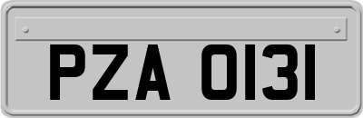 PZA0131