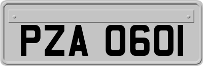 PZA0601