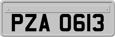 PZA0613