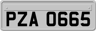 PZA0665
