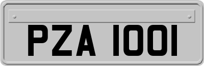 PZA1001