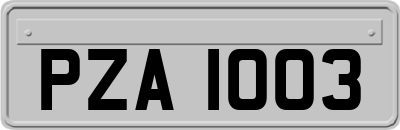 PZA1003