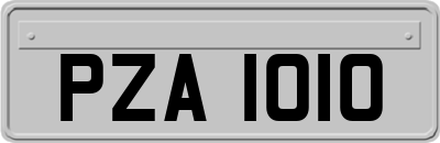 PZA1010