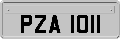 PZA1011