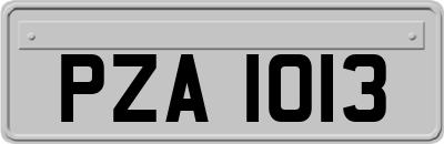 PZA1013