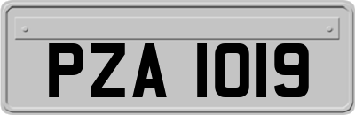 PZA1019