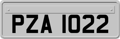 PZA1022