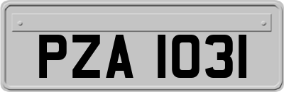 PZA1031