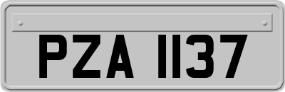 PZA1137