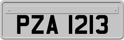 PZA1213