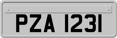 PZA1231