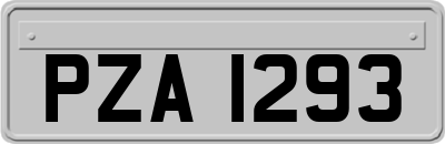 PZA1293