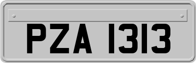 PZA1313