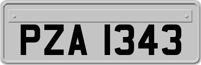 PZA1343