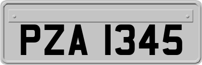 PZA1345