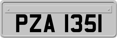 PZA1351