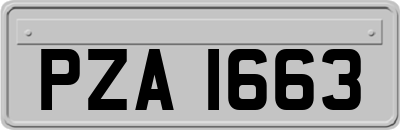 PZA1663