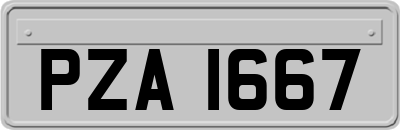 PZA1667
