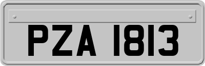 PZA1813