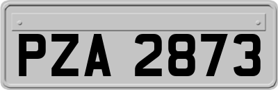 PZA2873