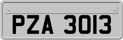 PZA3013