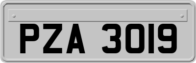 PZA3019