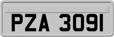 PZA3091