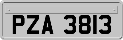 PZA3813