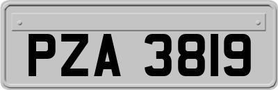 PZA3819
