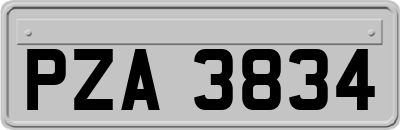 PZA3834