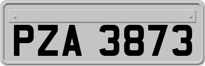 PZA3873