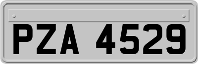 PZA4529