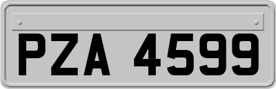 PZA4599