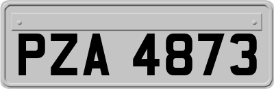 PZA4873