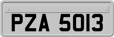 PZA5013