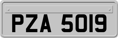 PZA5019