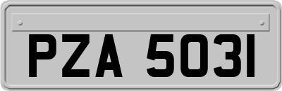 PZA5031