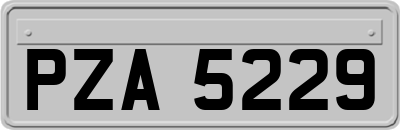 PZA5229