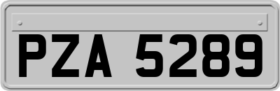 PZA5289