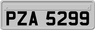PZA5299