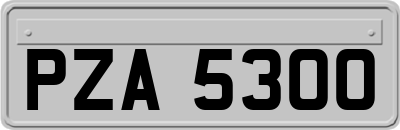PZA5300